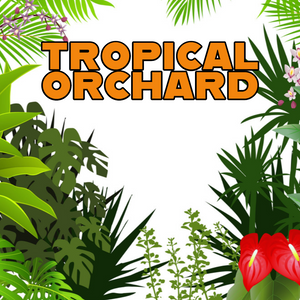 Tropical Orchard